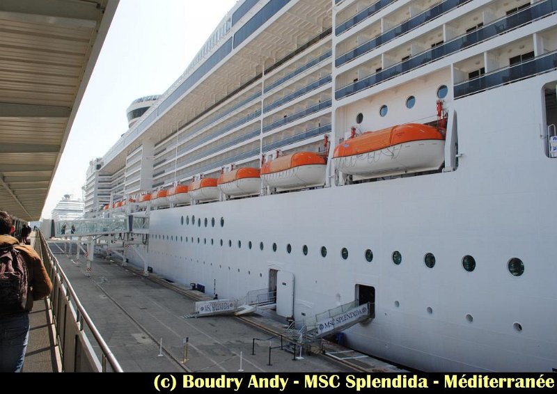 MSC Splendida - Mediterranée  (2).jpg